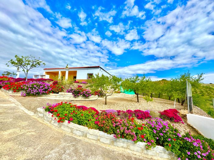 Image No.43-3 Bed Villa for sale