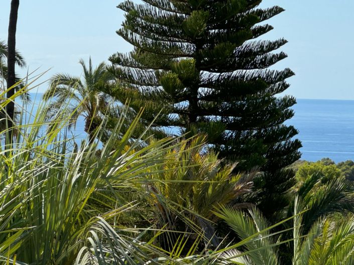 Image No.45-4 Bed Villa for sale