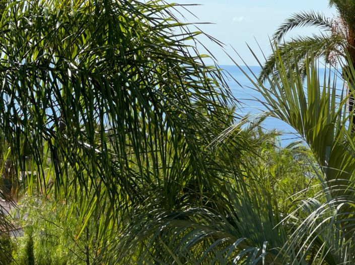 Image No.46-4 Bed Villa for sale