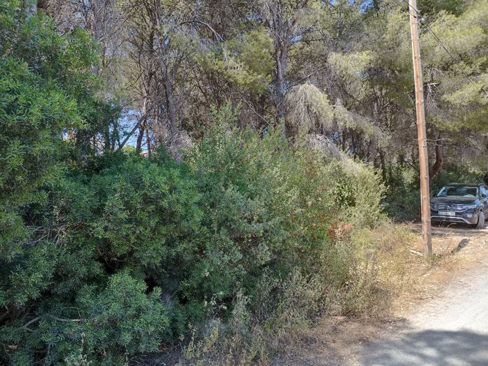 Image No.7-Plot for sale