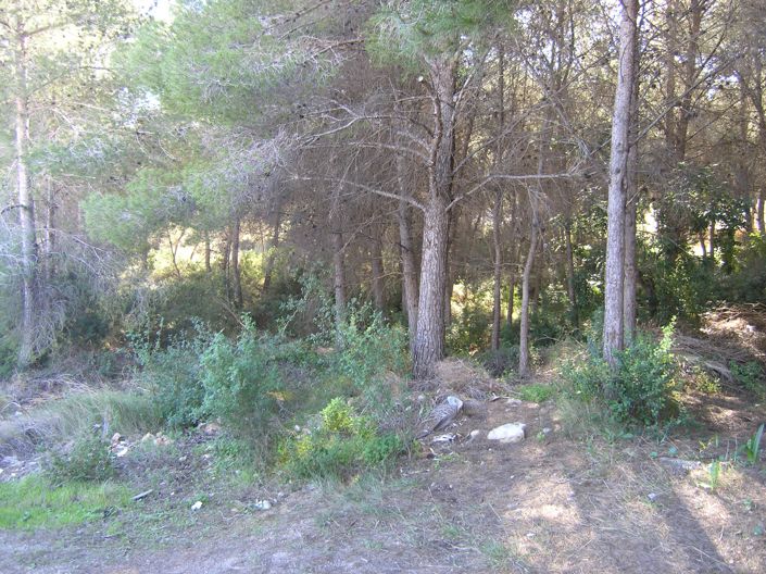 Image No.9-Plot for sale