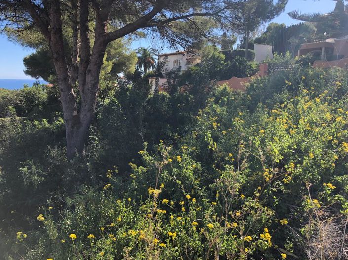 Image No.5-Plot for sale