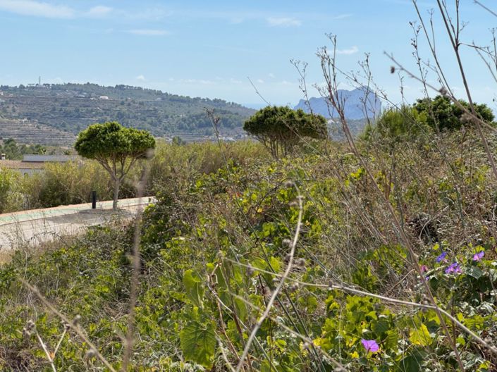 Image No.3-Plot for sale