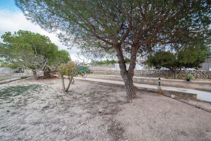 Image No.3-6 Bed Finca for sale