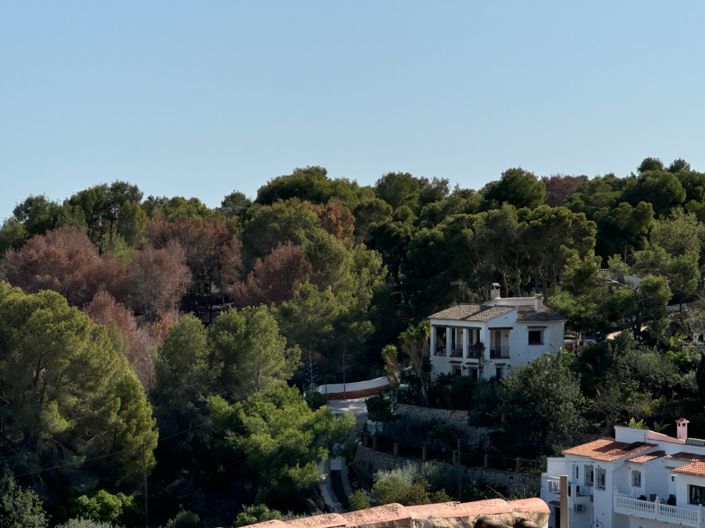 Image No.13-Plot for sale