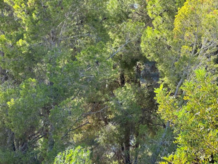 Image No.17-Plot for sale