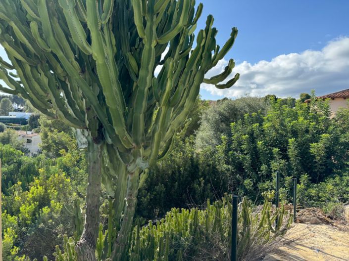 Image No.7-Plot for sale