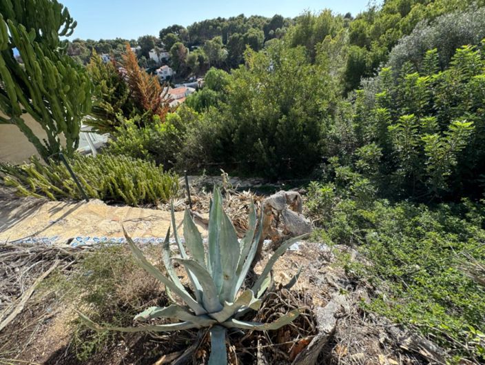 Image No.9-Plot for sale