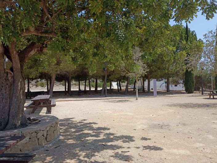 Image No.23-Finca for sale