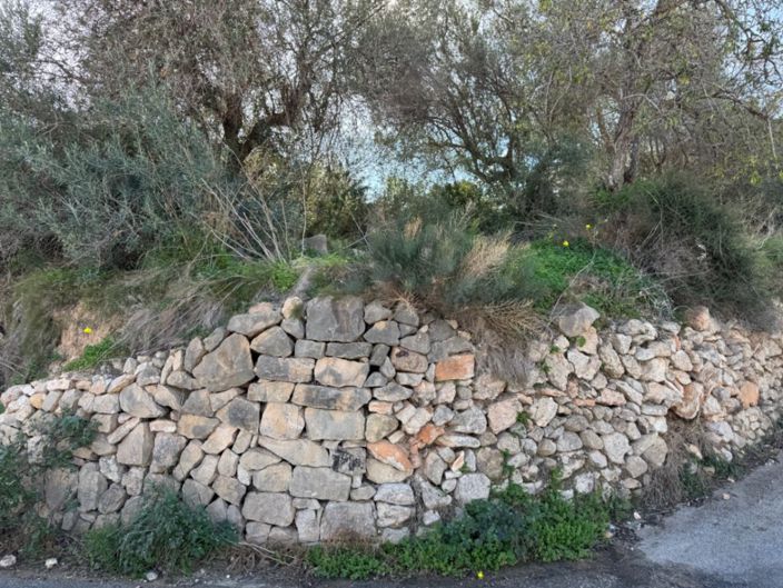 Image No.30-Plot for sale