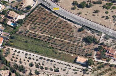 Image No.5-3 Bed Finca for sale