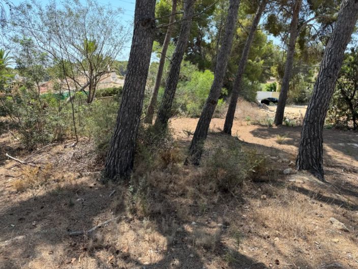 Image No.8-Plot for sale