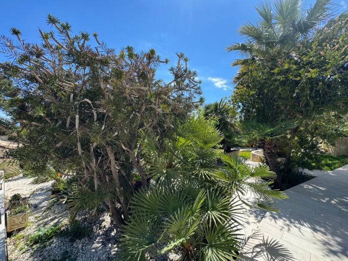 Image No.41-3 Bed Villa for sale