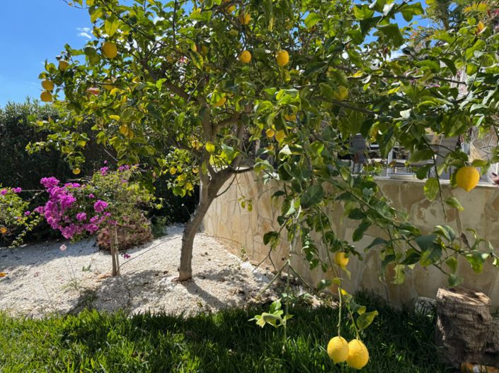 Image No.48-3 Bed Villa for sale