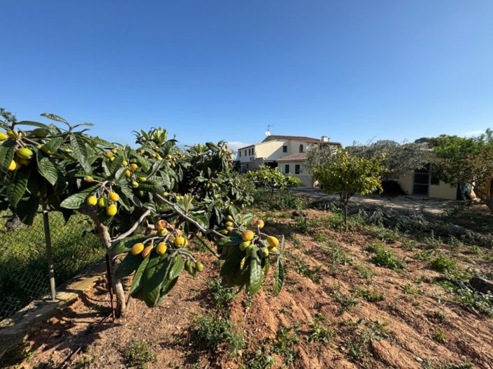 Image No.22-4 Bed Finca for sale