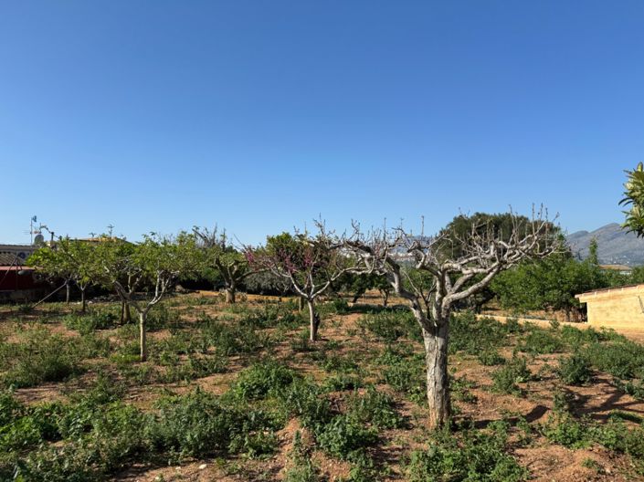 Image No.5-4 Bed Finca for sale