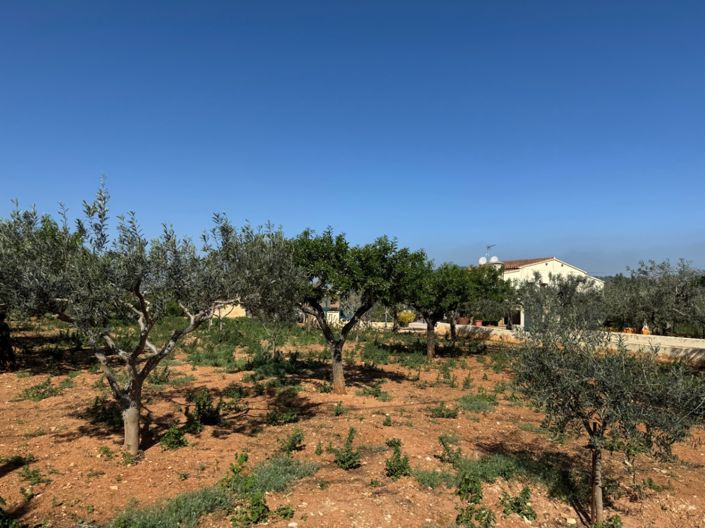 Image No.53-4 Bed Finca for sale