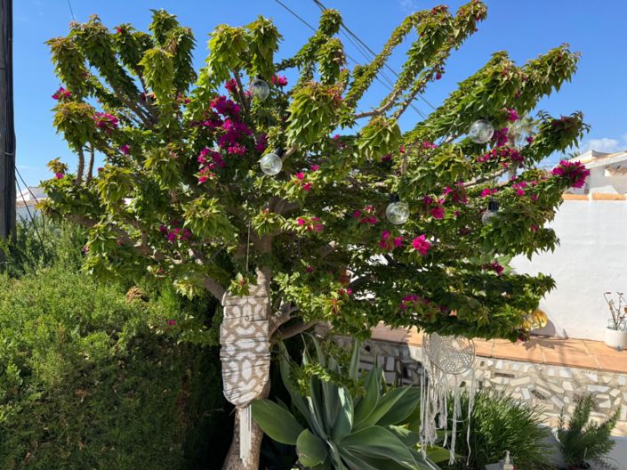 Image No.10-2 Bed Villa for sale