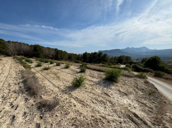 Image No.15-Plot for sale