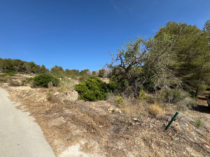 Image No.2-Plot for sale