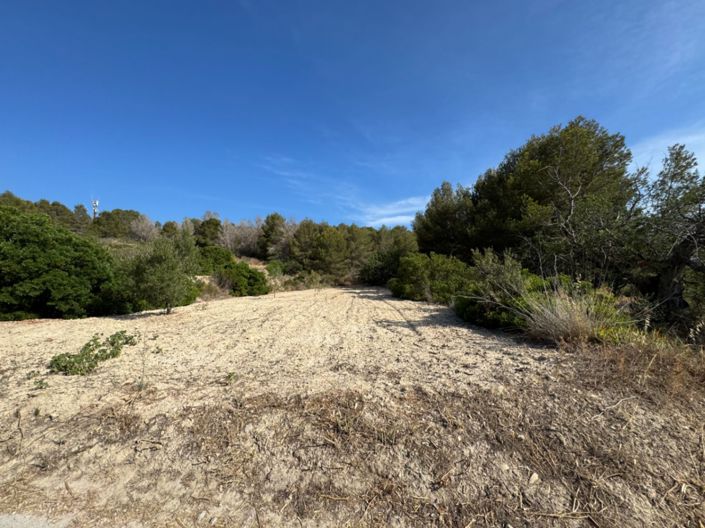 Image No.3-Plot for sale