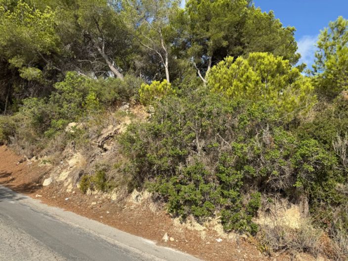 Image No.11-Plot for sale