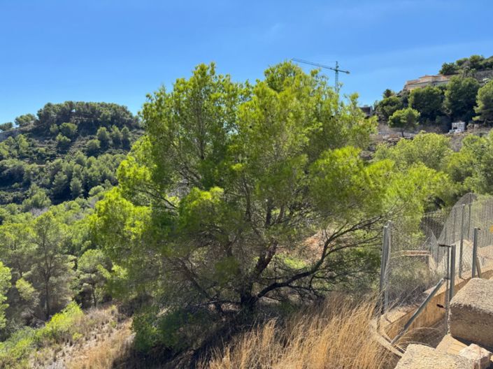 Image No.3-Plot for sale