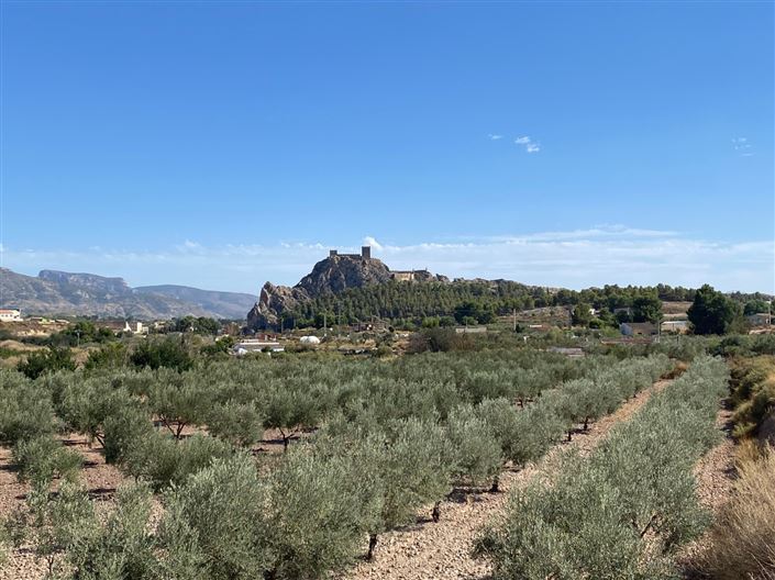 Image No.15-4 Bed Country House for sale