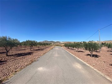 o1gcbfe3b91ppg1uns10bg11dr1fat1t