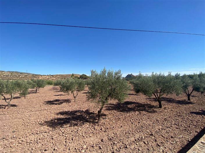 Image No.7-4 Bed Country House for sale