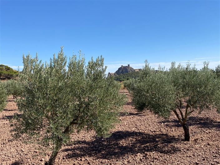 Image No.8-4 Bed Country House for sale