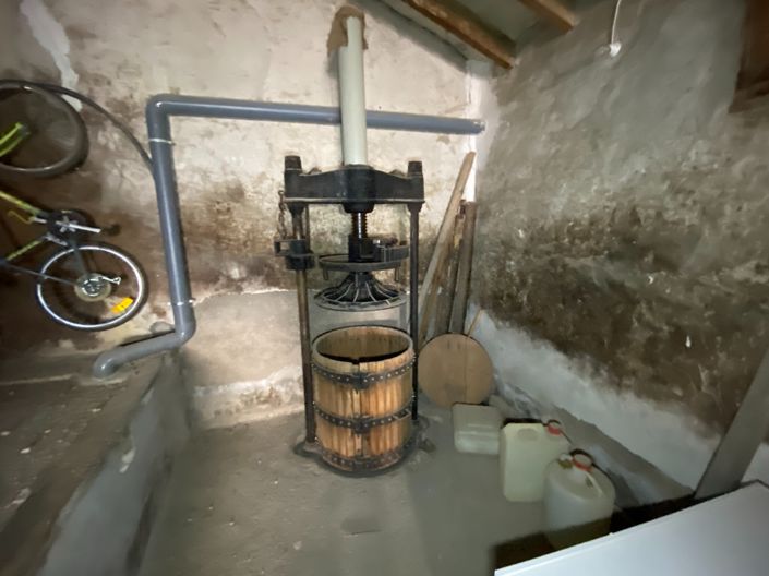 Image No.24-4 Bed Finca for sale