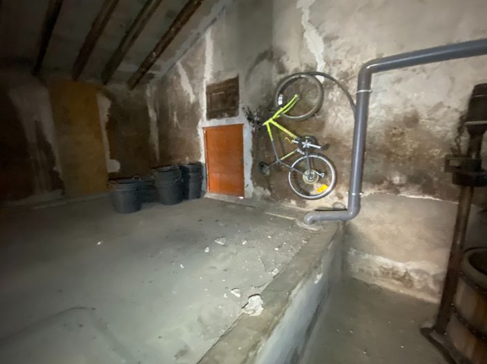 Image No.25-4 Bed Finca for sale