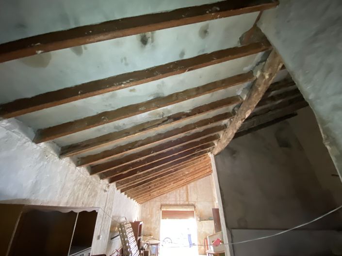 Image No.27-4 Bed Finca for sale