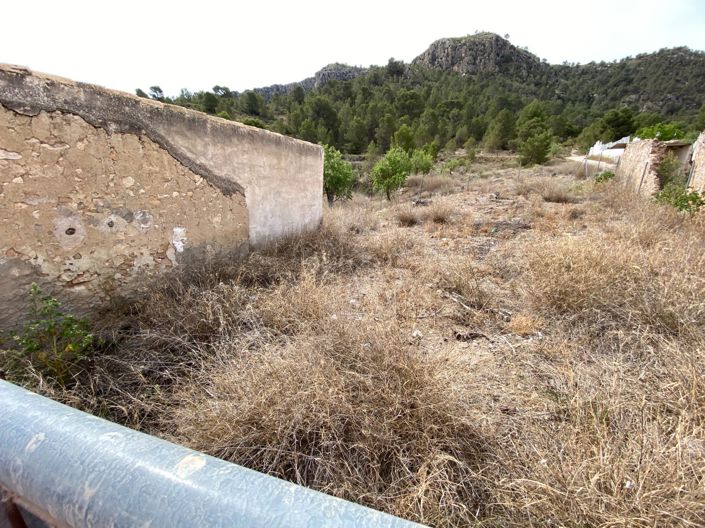 Image No.32-4 Bed Finca for sale