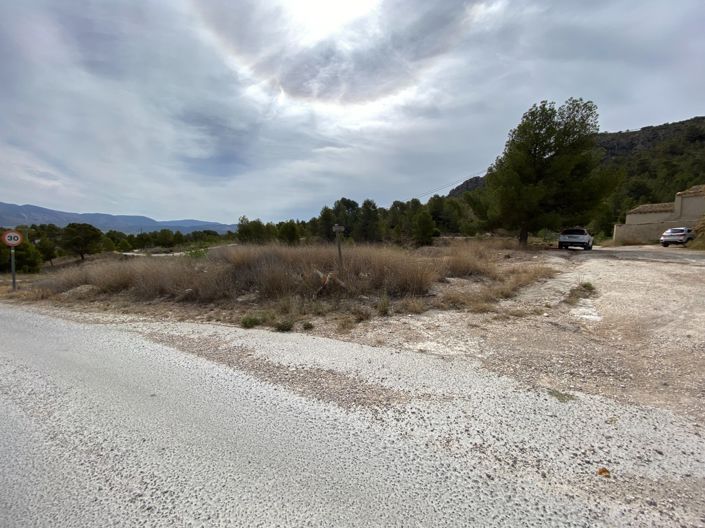 Image No.34-4 Bed Finca for sale