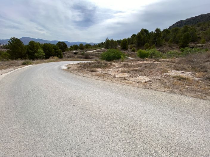 Image No.35-4 Bed Finca for sale