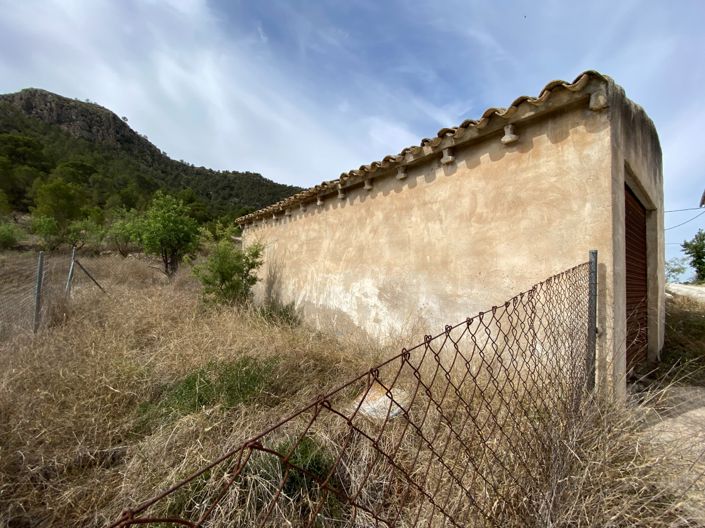 Image No.4-4 Bed Finca for sale