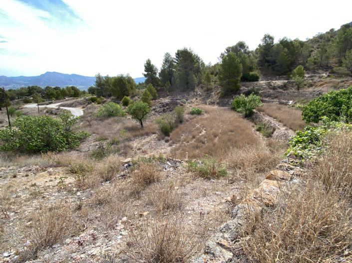 Image No.5-4 Bed Finca for sale