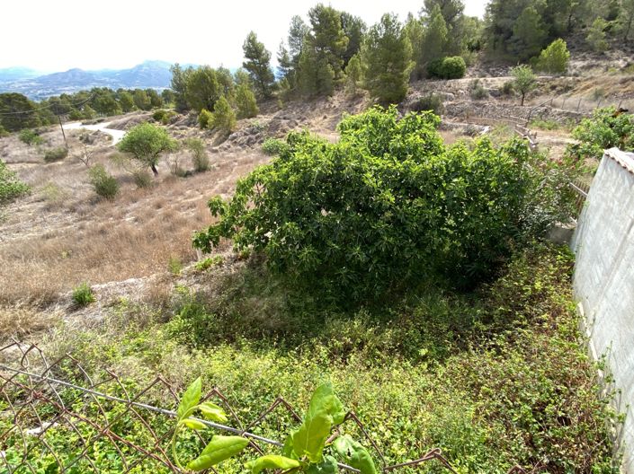 Image No.6-4 Bed Finca for sale