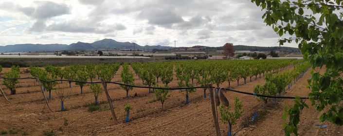 Image No.12-3 Bed Villa for sale