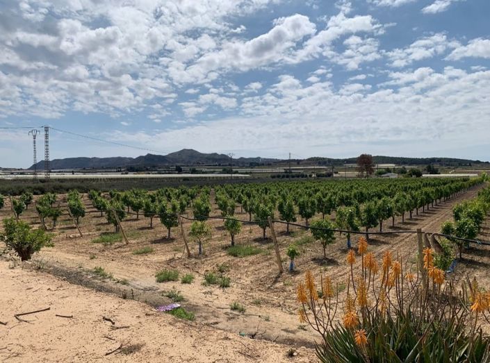 Image No.18-3 Bed Villa for sale