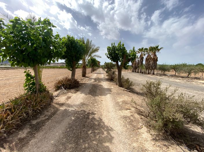 Image No.23-3 Bed Villa for sale