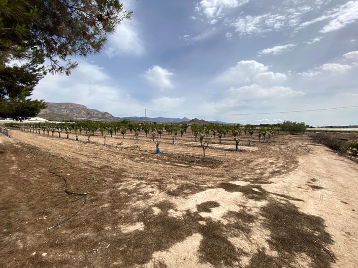 Image No.24-3 Bed Villa for sale