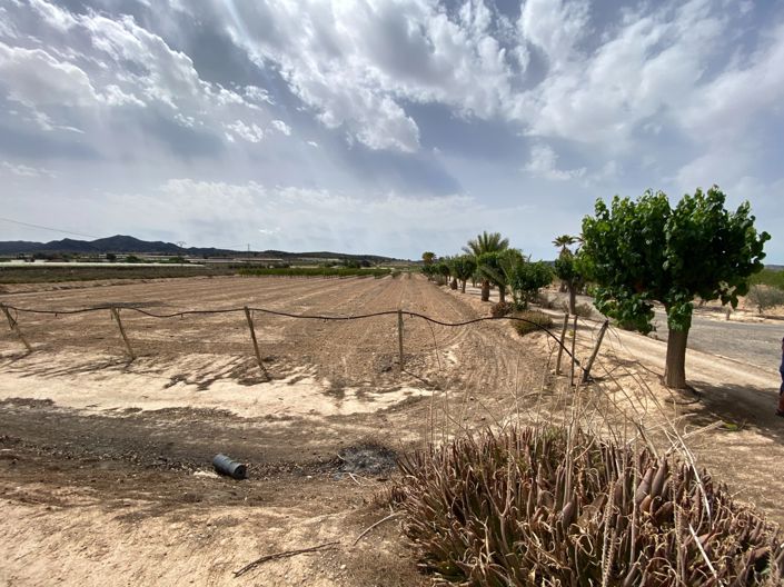 Image No.25-3 Bed Villa for sale