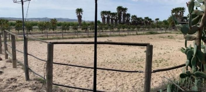 Image No.3-3 Bed Villa for sale