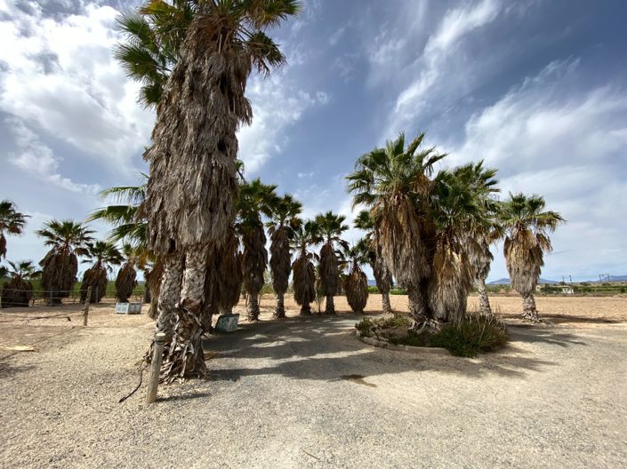 Image No.30-3 Bed Villa for sale