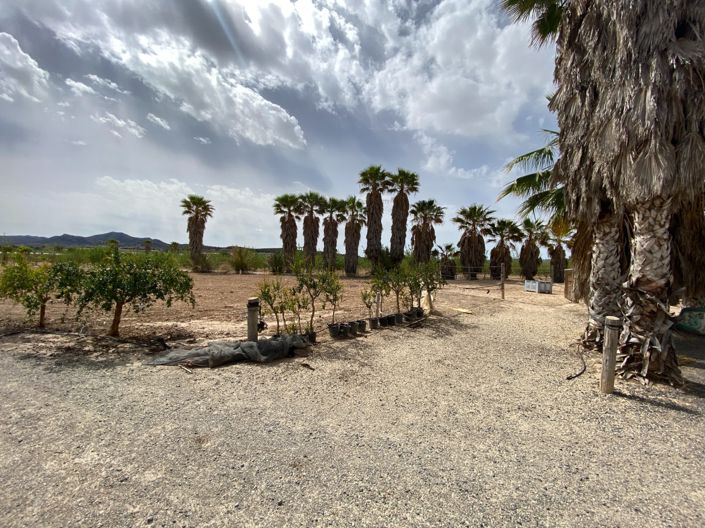 Image No.31-3 Bed Villa for sale