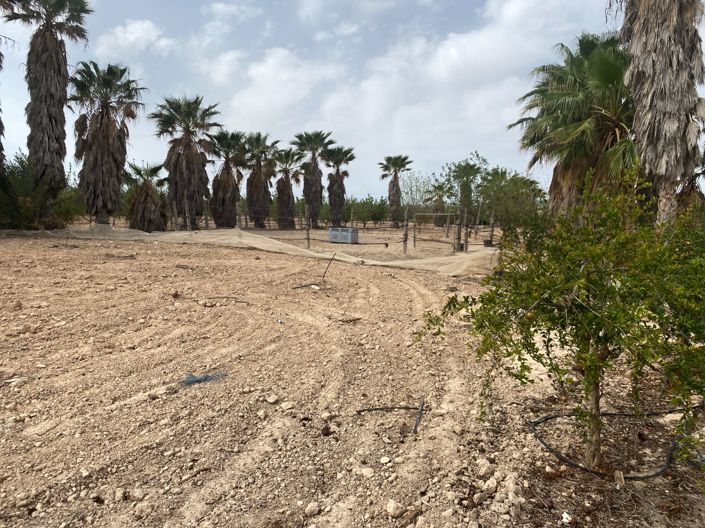 Image No.39-3 Bed Villa for sale