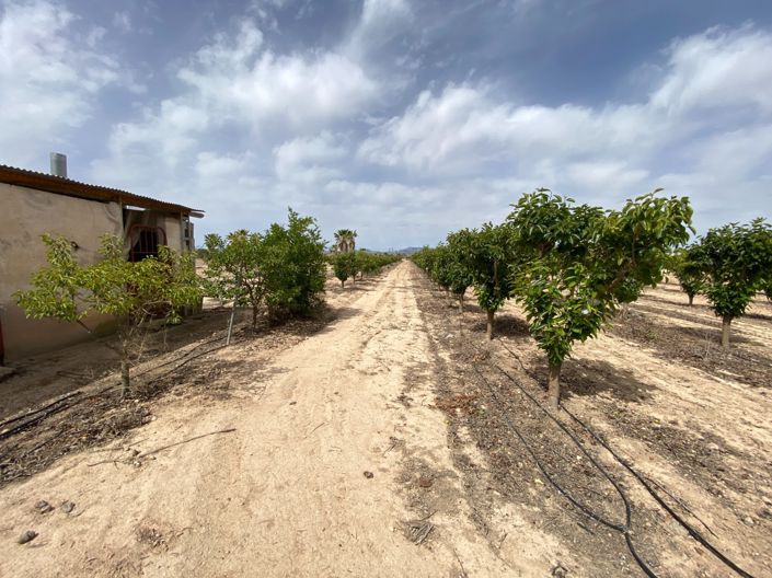 Image No.41-3 Bed Villa for sale